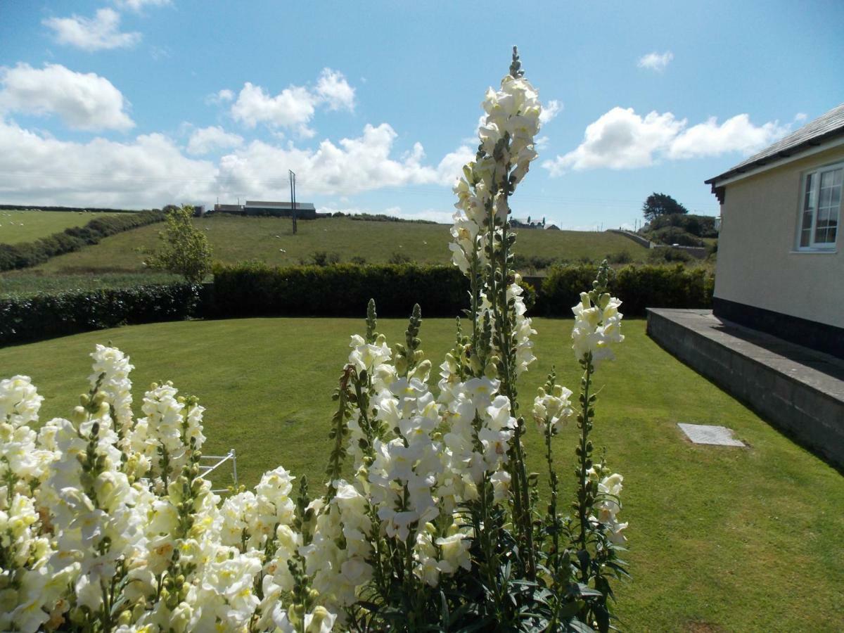 Craig Eithin B & B Holyhead Exterior photo